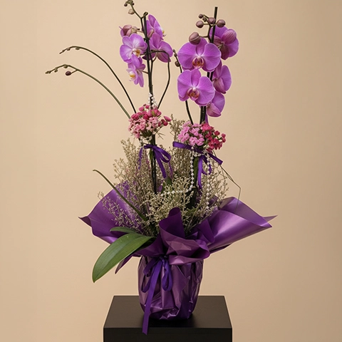 Orkideler