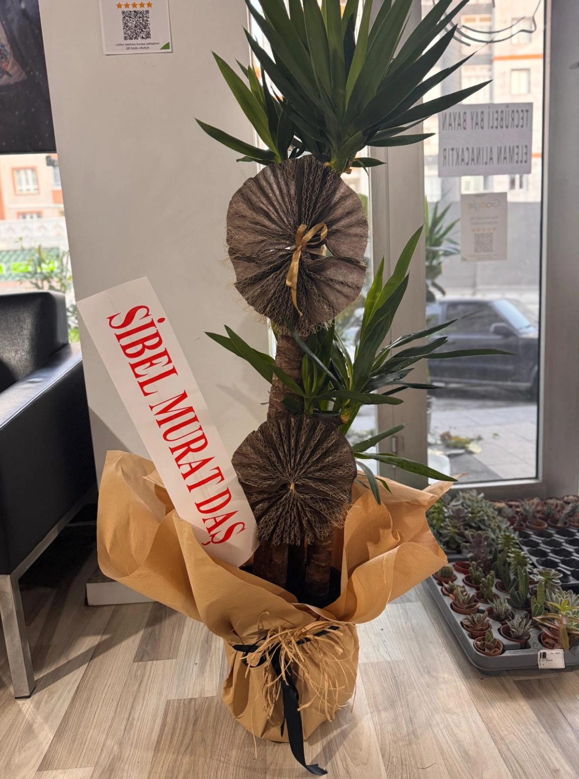 2'Li Büyük Yucca Çiçeği